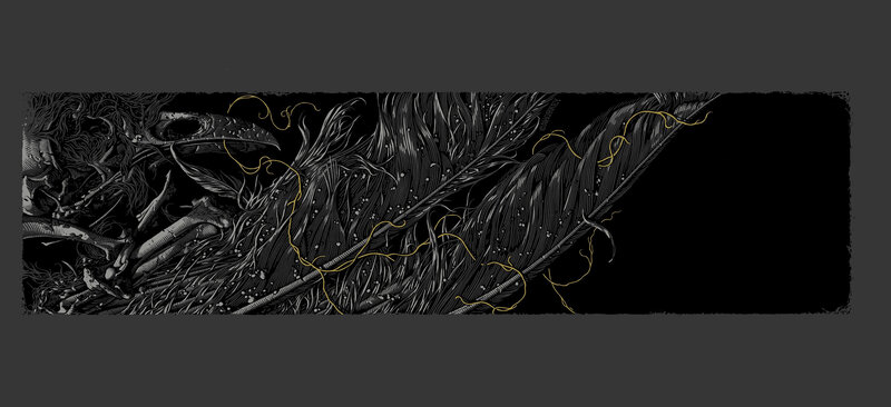 dark feather illustration