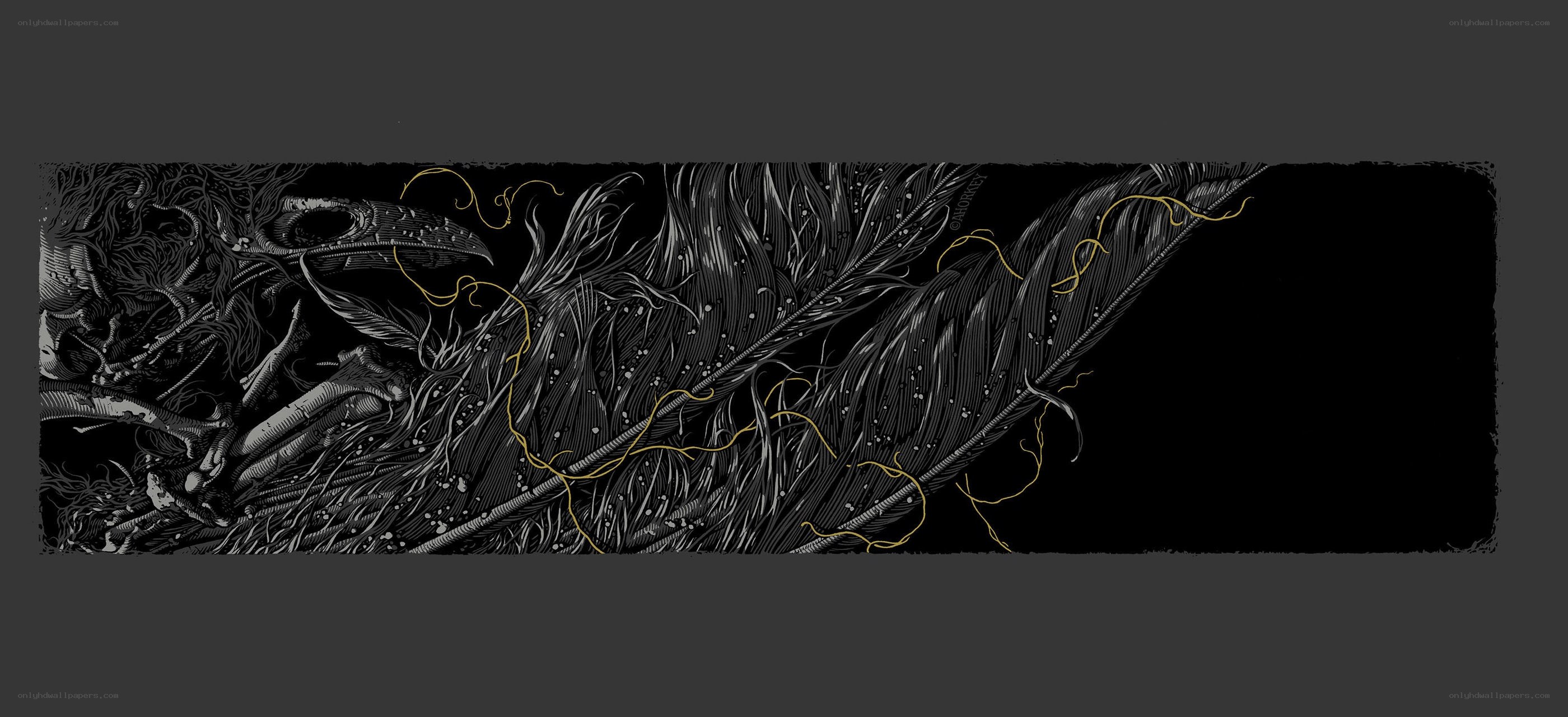 dark feather illustration