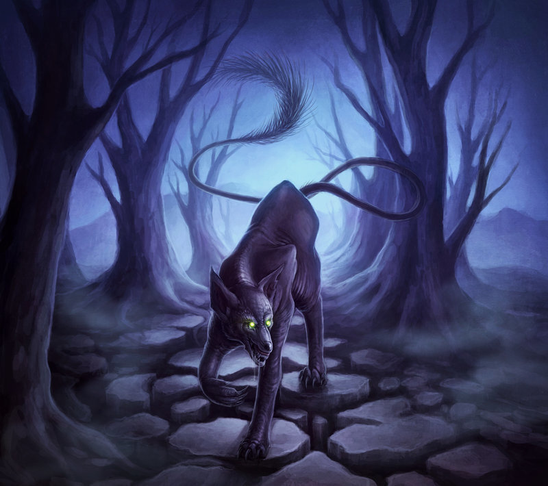 Dark Feline Creature