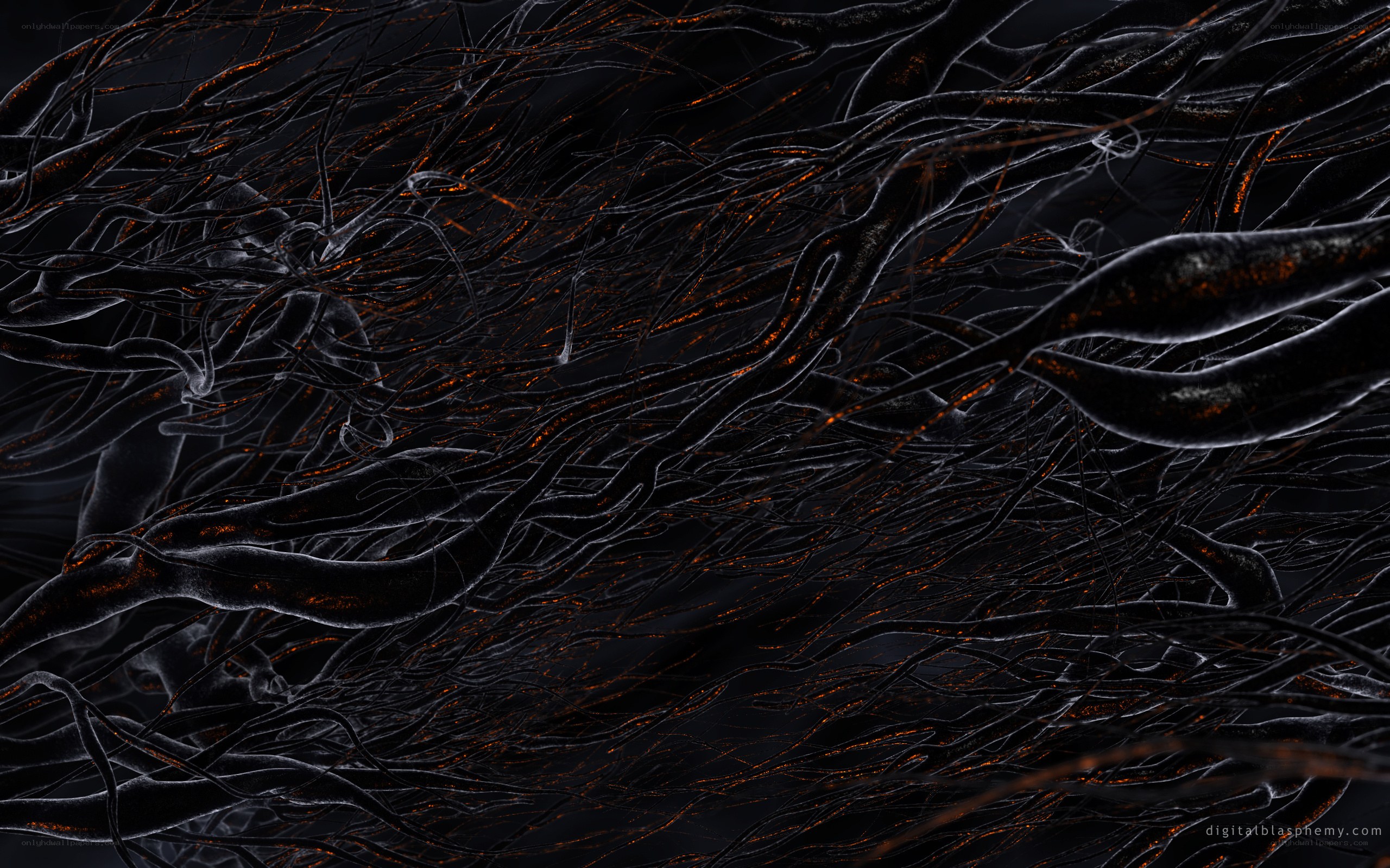dark fiber network