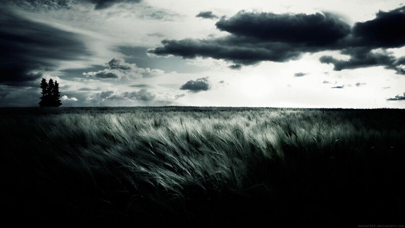 Dark field under stormy sky