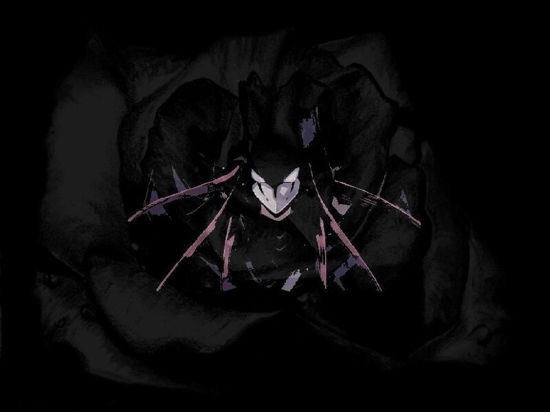 dark figure in a rose