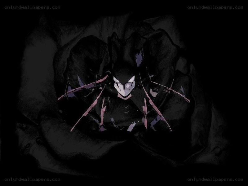 dark figure in a rose