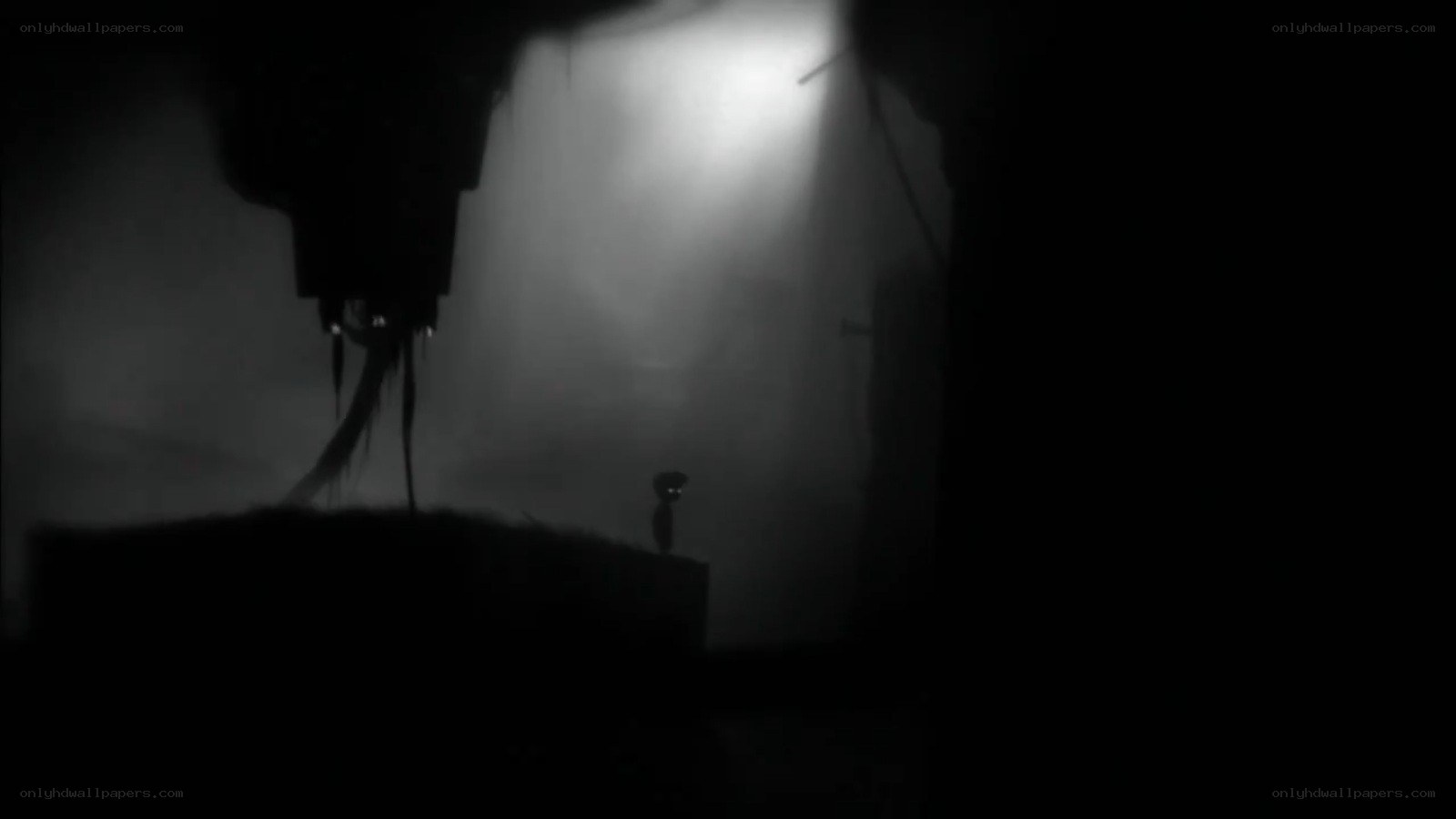 dark figure in fog