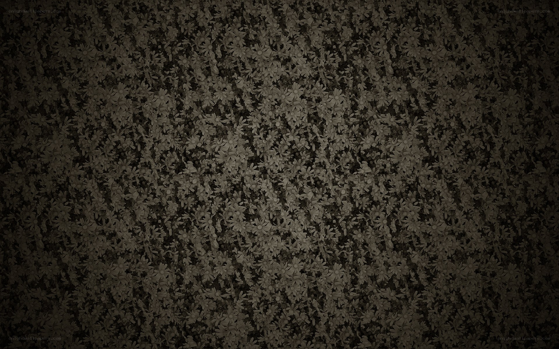 dark floral pattern background