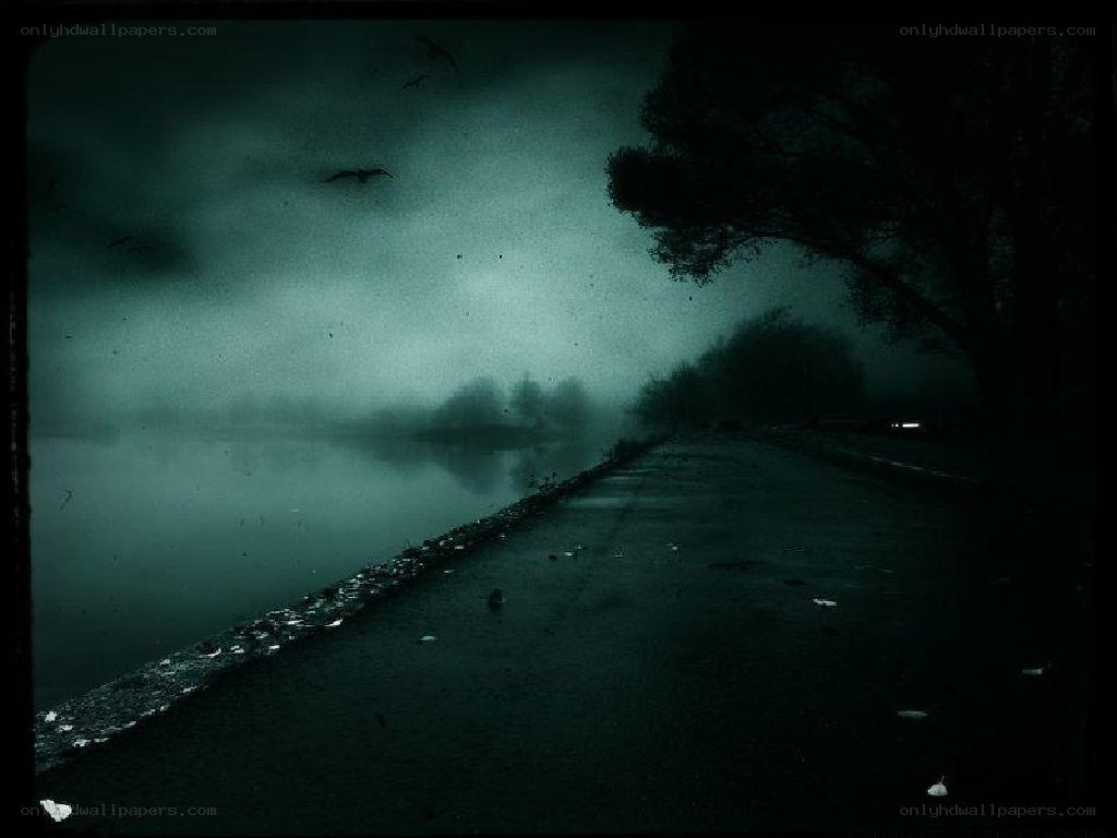 Dark foggy lakeside path