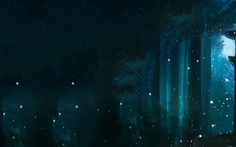 dark forest at night
