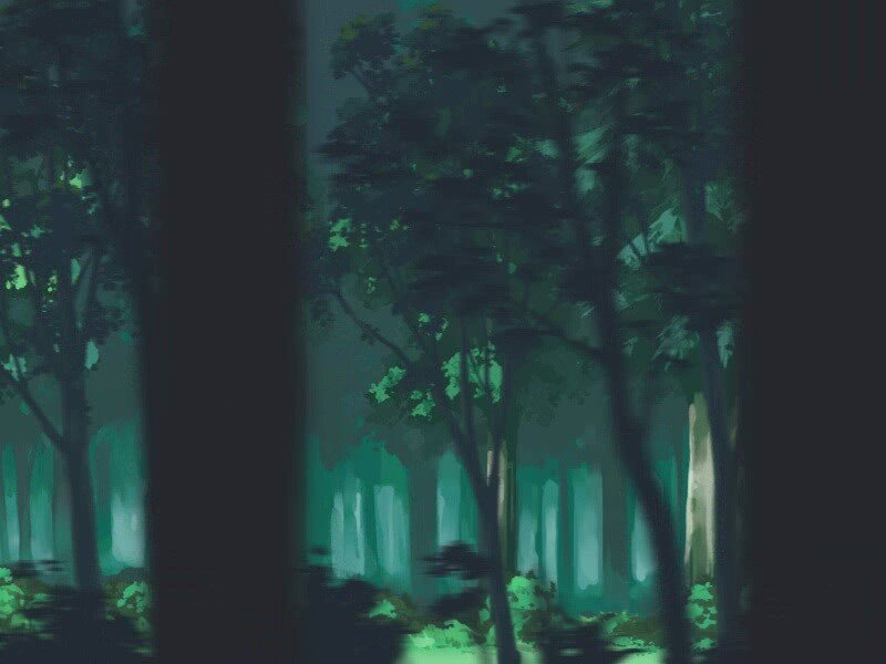 dark forest at night