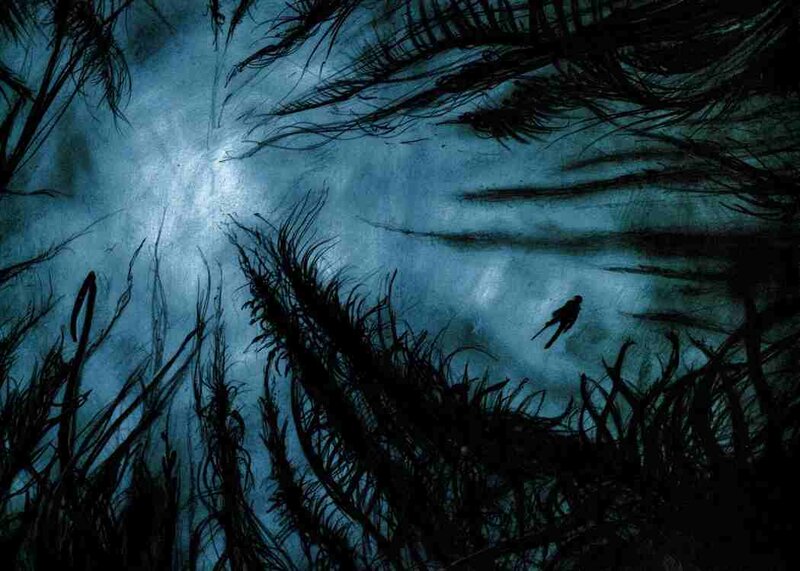 Dark forest at night