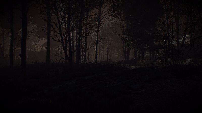 Dark Forest at Night — Black, 3d Render