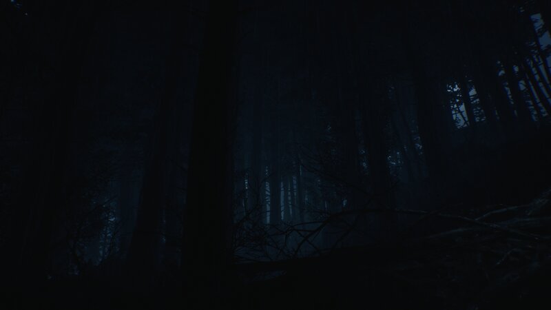 Dark Forest at Night — Black, 3d Render, Trees, Branches