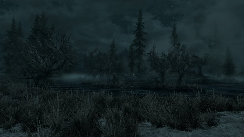 Dark Forest at Night — Black, Dark, Misty