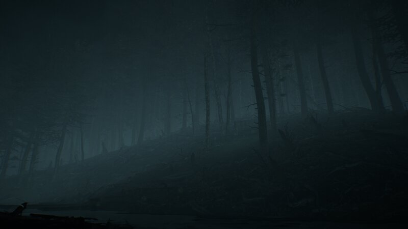 Dark Forest at Night — Black, Digital Art, Trees