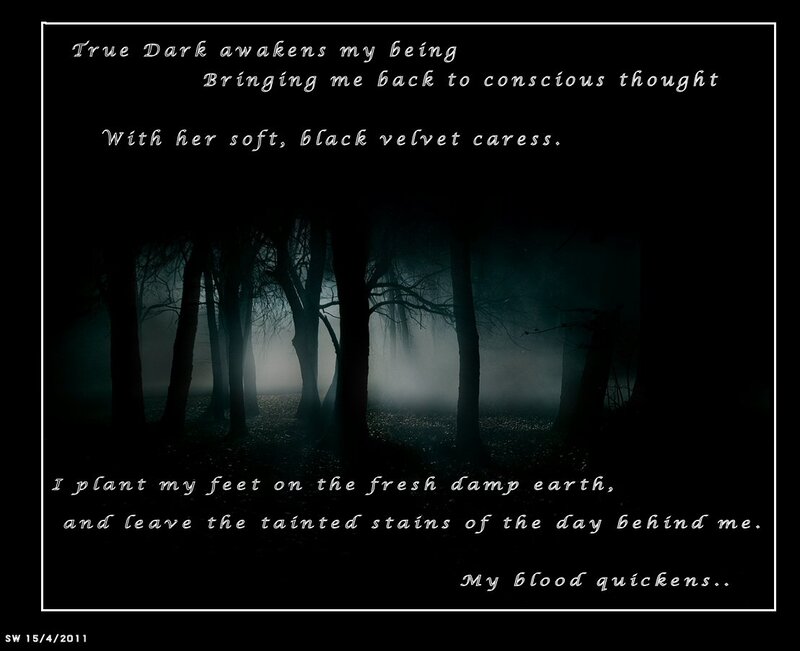 Dark Forest at Night — Black, Mysterious, Photograph