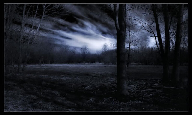 Dark Forest at Night — Black, Photograph