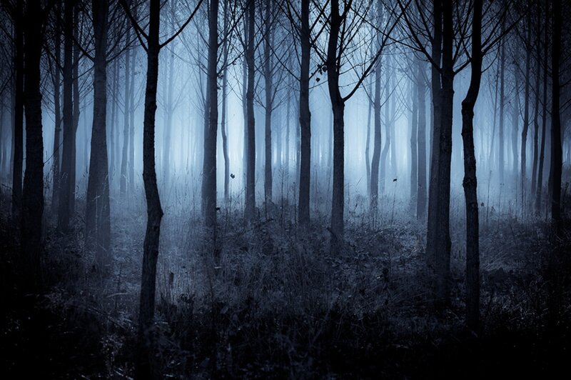 Dark Forest at Night — Blue, Eerie