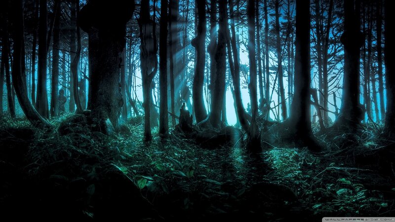 Dark Forest at Night — Blue, Mysterious, Digital Art, Trees