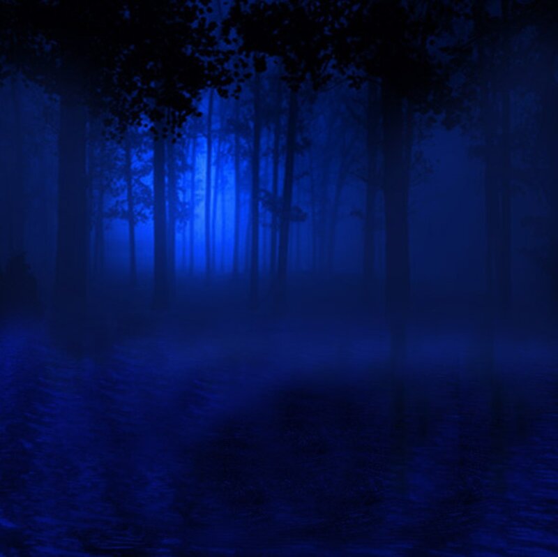 Dark Forest at Night — Blue, Mysterious