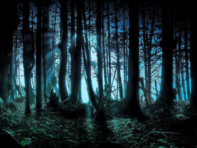 Dark Forest at Night — Blue