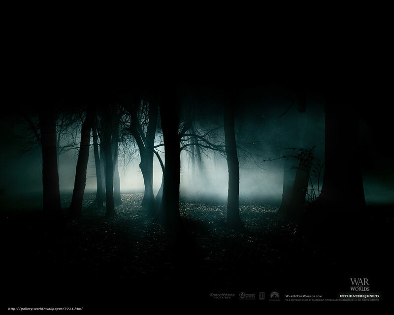 dark forest at night