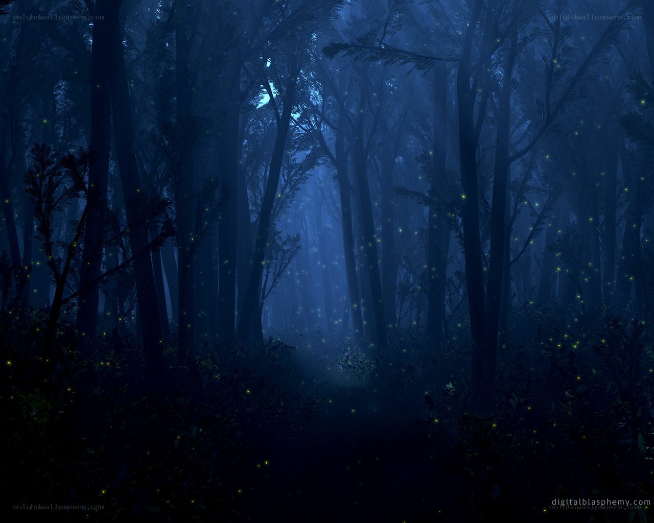 Dark forest at night with fireflies