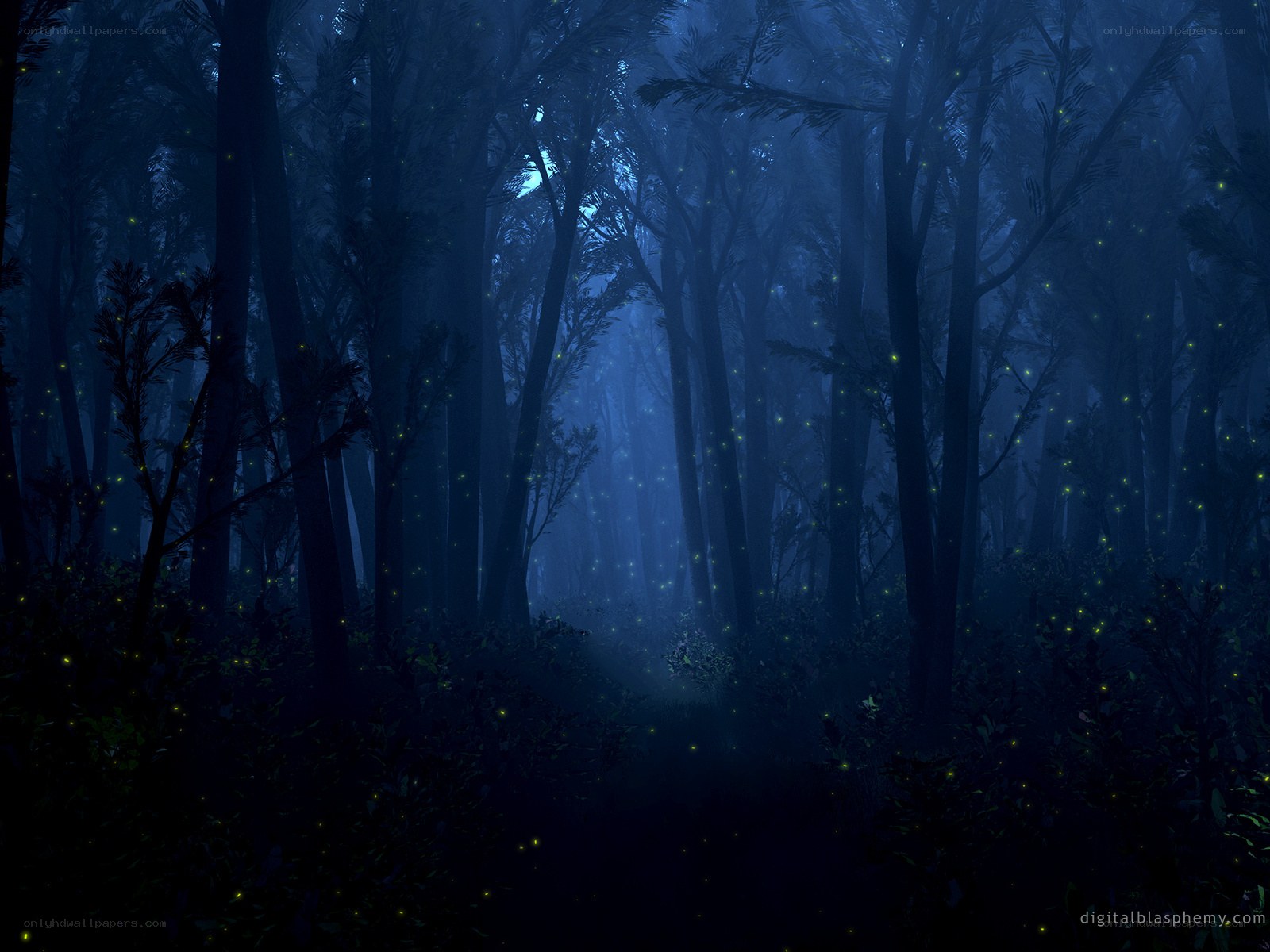Dark forest at night with fireflies