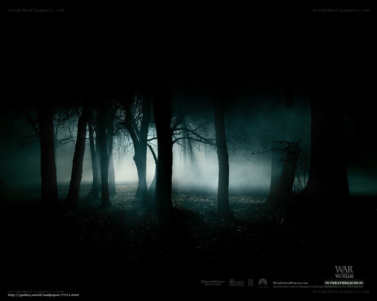 dark forest at night