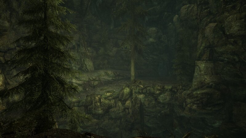 Dark Forest Canyon