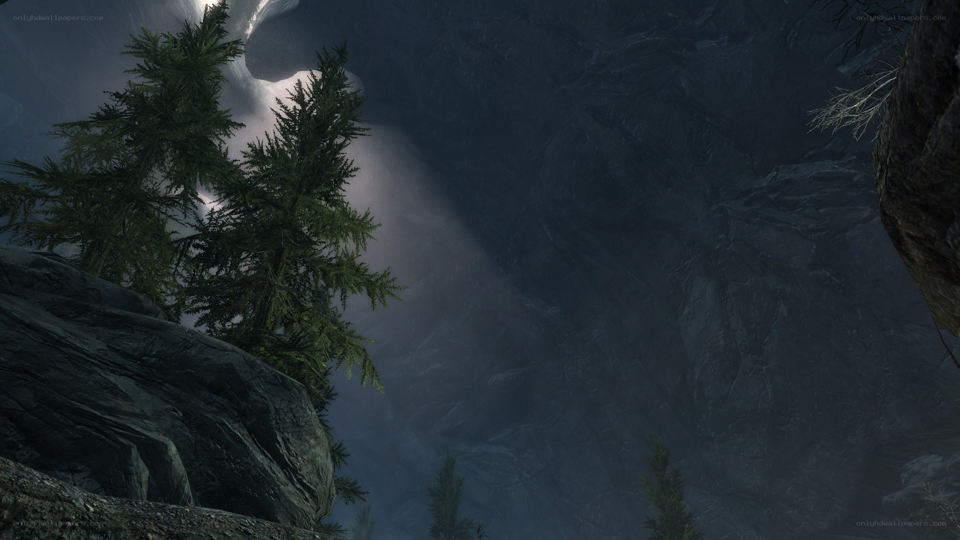 dark forest canyon view