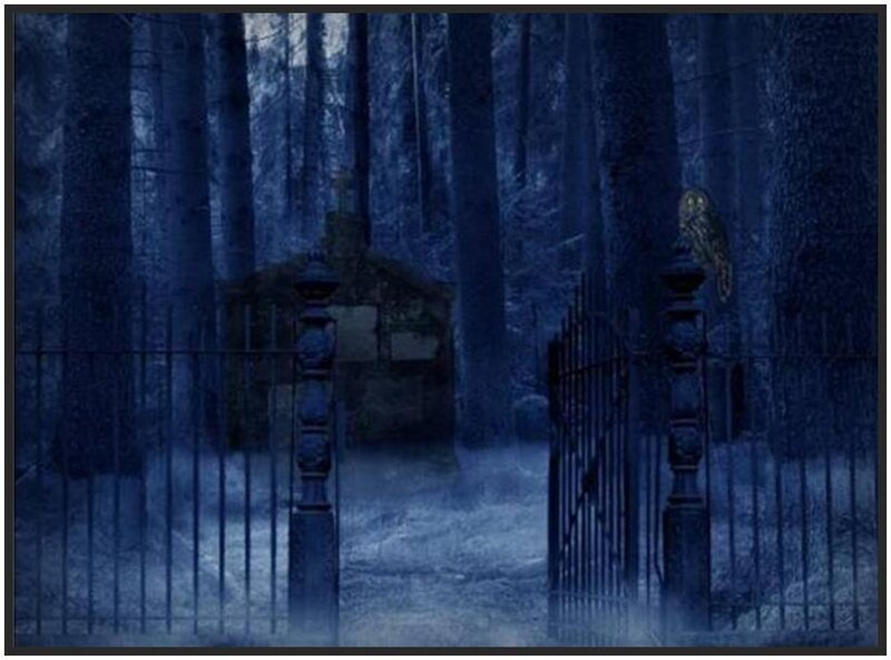 Dark forest gate at night