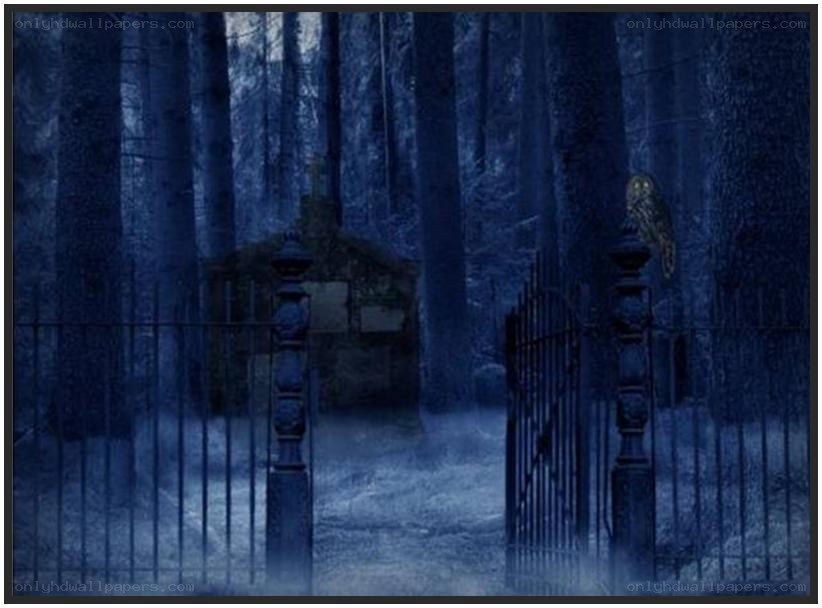 Dark forest gate at night