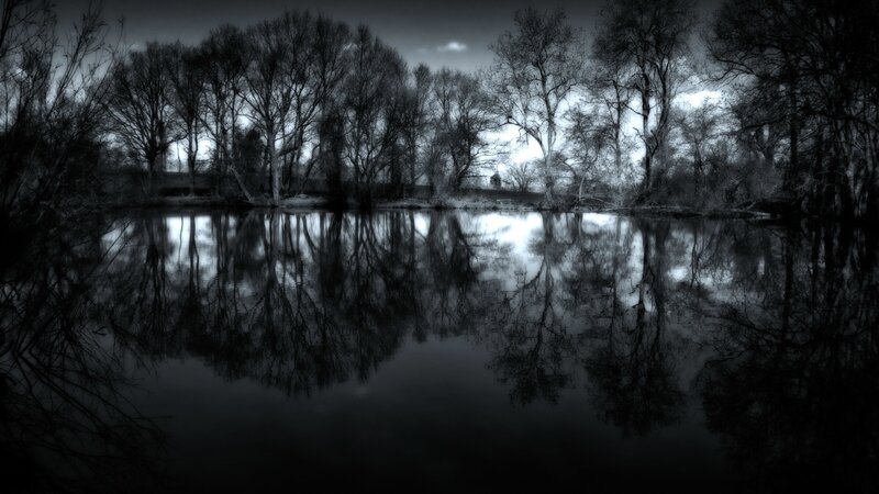 Dark forest lake reflection