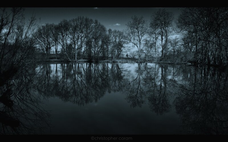 Dark forest lake reflection