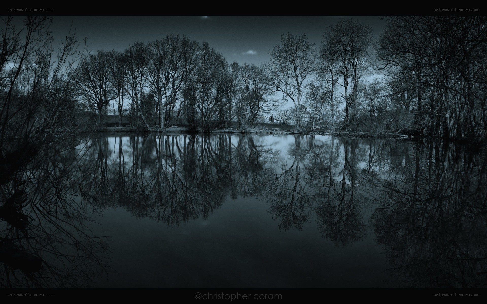 Dark forest lake reflection