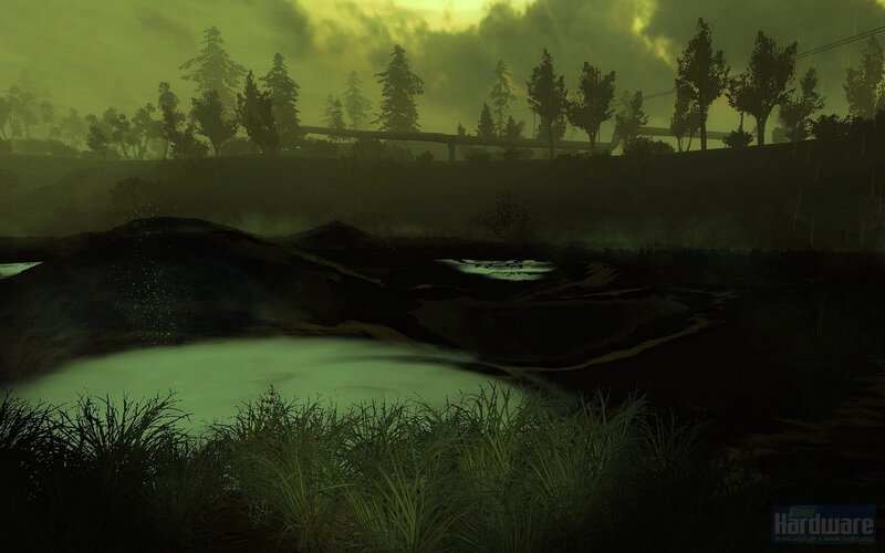 dark forest landscape at dusk