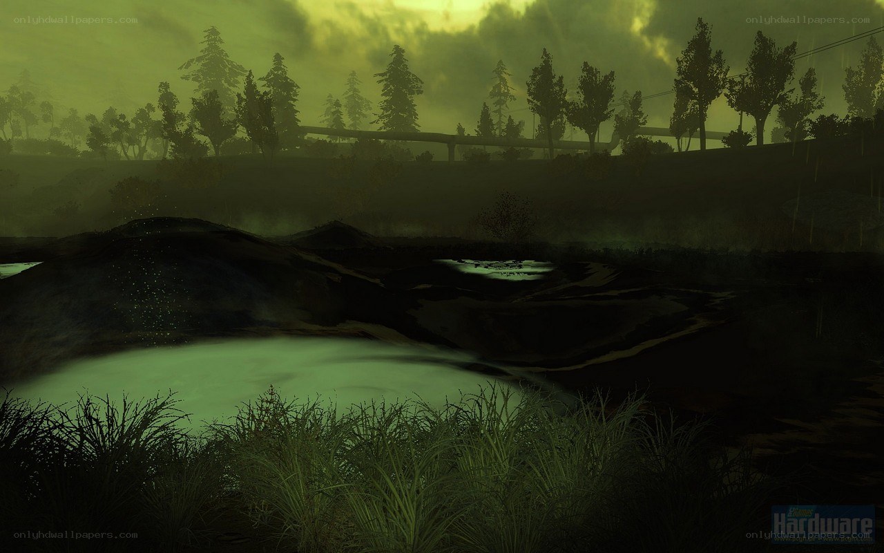 dark forest landscape at dusk