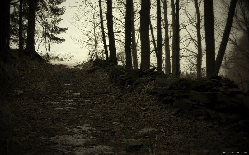 Dark forest path at dusk