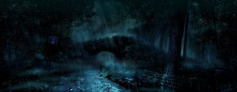 Dark forest path at night