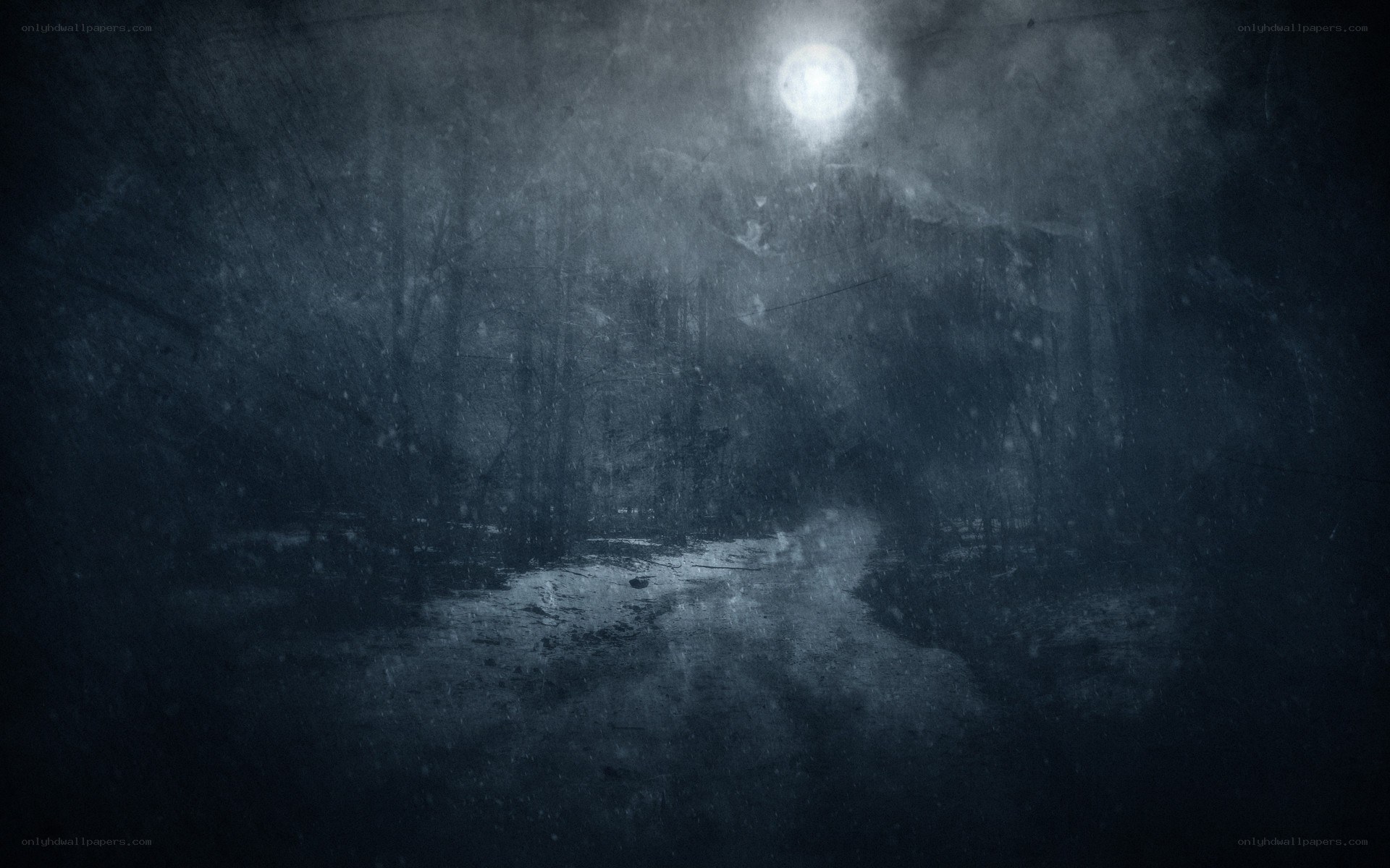 dark forest path at night