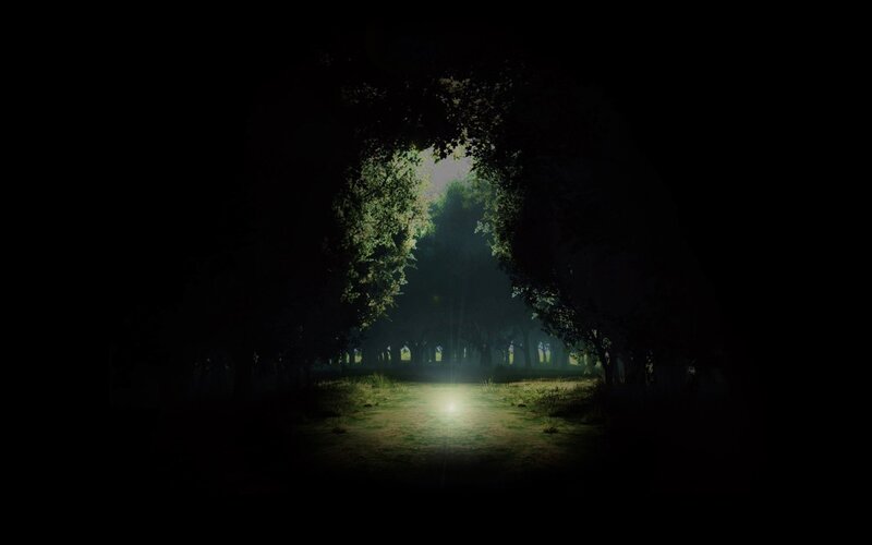 Dark forest path at night