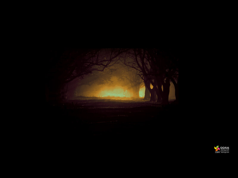 Dark Forest Path — Black