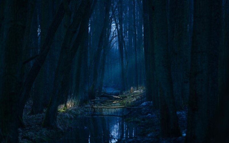 Dark Forest Path — Blue, Mysterious