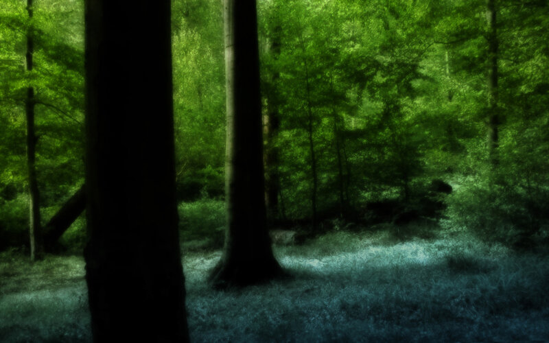 Dark Forest Path — Green, Mysterious