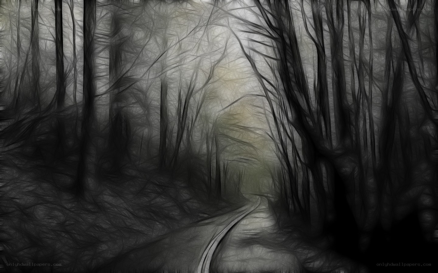 Dark forest path