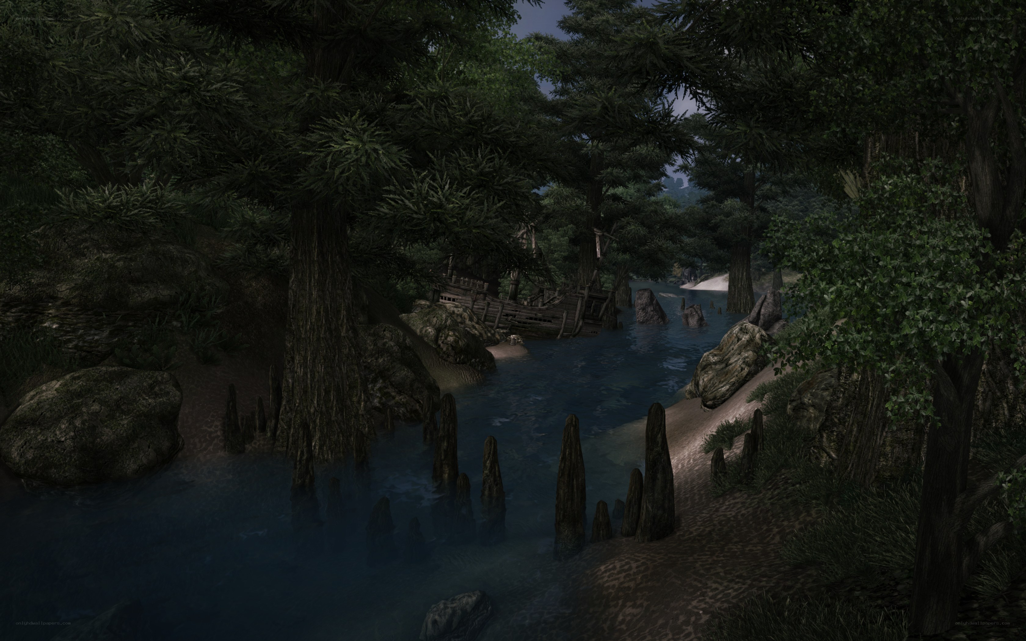 Dark forest river scene