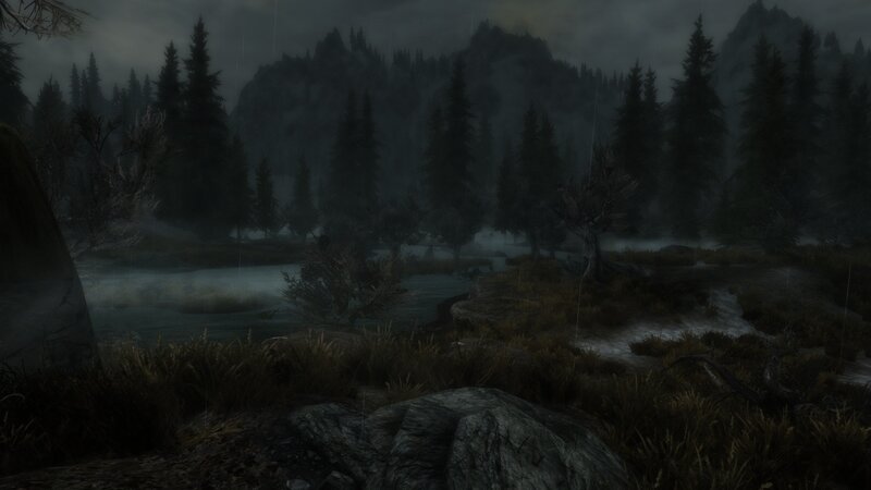 dark forest river scene