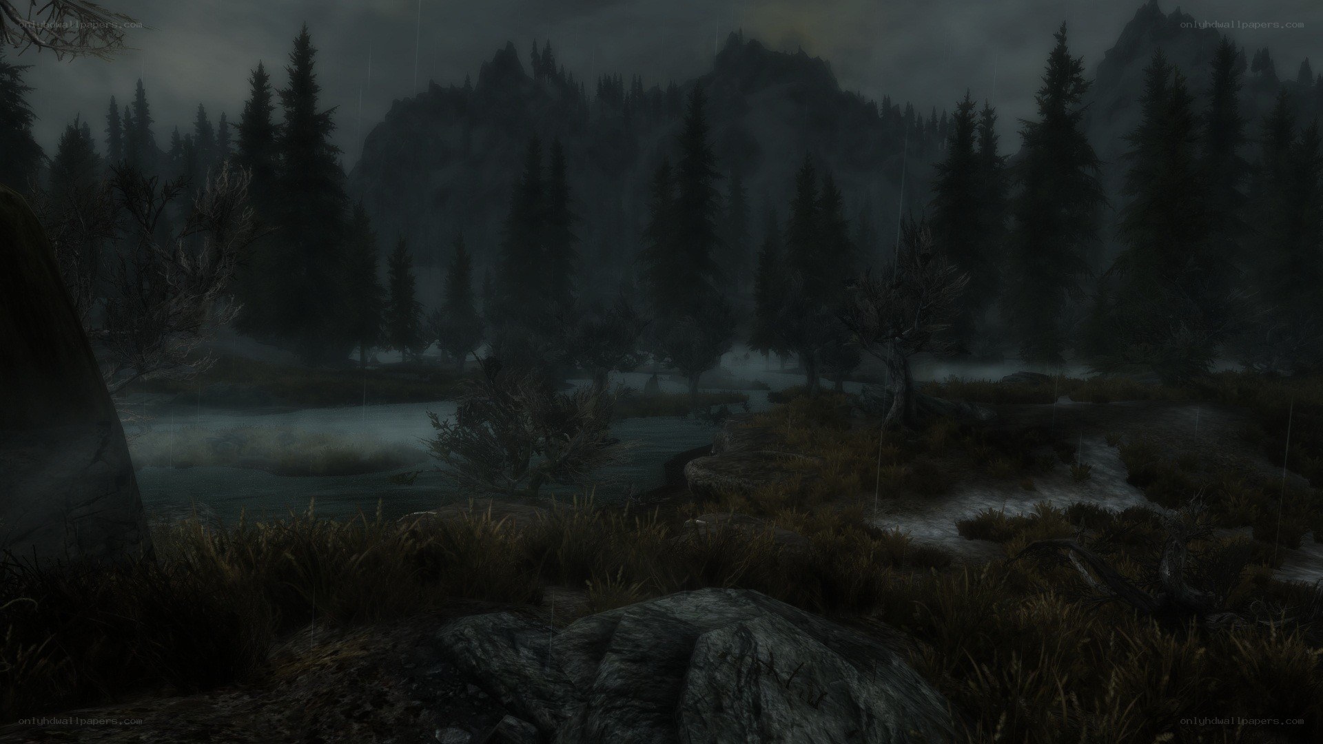 dark forest river scene