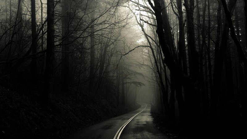 Dark forest road at night