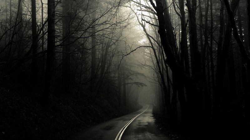 dark forest road at night