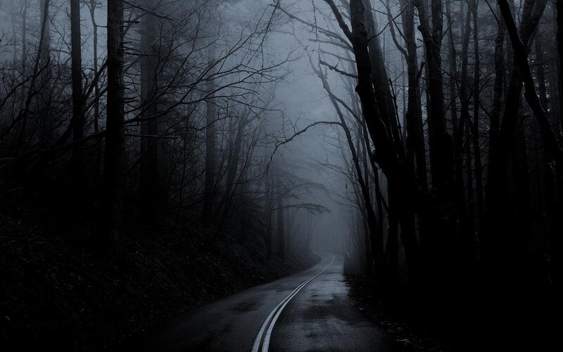 Dark forest road in fog